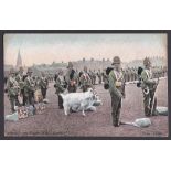 Regimental Mascots - Welsh Regiments, Drummers and Pioneers on Parade - Mascot present. Colour