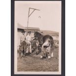 Royal Artillery WWI RP of a Blacksmith re-shoeing a horse.