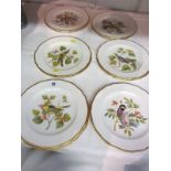 SPODE BIRD PLATES, set of 12 hand painted gilt edge bird plates, pattern No.