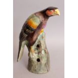 A 19TH CENTURY CHINESE FAMILLE ROSE PORCELAIN MODEL OF A HAWK, perched on pierced rockwork, its head