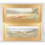 A PAIR OF FRAMED AND GLAZED WATERCOLOURS. 7ins x 19ins.