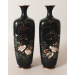 A PAIR OF JAPANESE MEIJI PERIOD BLACK GROUND CLOISONNE VASES, each decorated with a pair of cranes