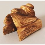 A SIGNED JAPANESE STAINED IVORY NETSUKE OF A SNAIL, creeping forward over a leaf and logs, the
