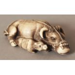 A GOOD JAPANESE MEIJI PERIOD TOMOTADA SCHOOL IVORY NETSUKE OF AN OXEN & ITS YOUNG, unsigned, each