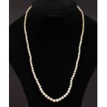 A VERY GOOD CARTIER STRING OF PEARLS (119) with 18ct white gold clasp, in original purse (with