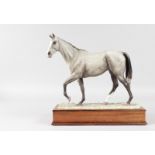 GREY THOROUGHBRED, modelled by DAVID LOVEGOOD, Limited Edition ALBANY FINE CHINA CO LTD, on a wooden