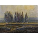 Ted Dyer (1940- ) British. A River Landscape, with Poplar Trees, Oil on Canvas, Signed, 18" x 24".