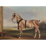 Circle of James Loder of Bath (1784-1854) British. A Horse by a Barn, Wearing a Harness, Oil on