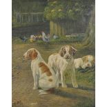 P... Roach (20th Century) British. A Farm Scene with Puppies, Oil on Canvas, Signed, 20" x 16".