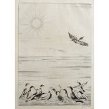 Joseph Hecht (1891-1951) Polish/French. "Ducks and Sun, 1933", Engraving with Hecht Watermark,