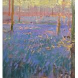 20th Century English School. A Bluebell Wood, Oil on Board, Signed with Initials 'CB', 10" x 9.5".