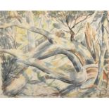 Jones (20th Century) British. Study of Trees, Watercolour, Indistinctly Signed, Unframed, 18" x
