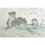 Ralph Thompson (1913-2009) British. Cheetahs at Rest, Print, Signed and numbered 183/1000 in Pencil,