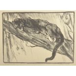 Elise Marian Henderson 'Baroness De Coudenhove' (1880-c1967) British. "Black Jaguar on a Tree",