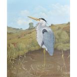 David Andrews (20th Century) British. "Heron on Exmoor", Oil on Board, Signed, and Signed and
