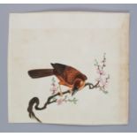 A GOOD QUALITY 19TH CENTURY CHINESE PAINTING ON PAPER, laid loosely on paper, depicting a bird