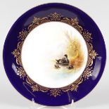 A ROYAL WORCESTER PLATE, unusually painted with Coots by George Johnson, signed, date code for