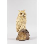 A GOOD 19TH CENTURY AUSTRIAN PAINTED COLD CAST BRONZE OWL, standing on a tree trunk. 11ins high.