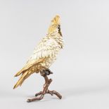 FRANZ BERGMAN, A GOOD COLD PAINTED BRONZE COCKATOO, perched on a branch, monogrammed and stamped