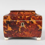 A SMALL REGENCY TORTOISESHELL TWO DIVISION TEA CADDY, on ivory bun feet (two feet missing). 5.5ins