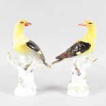 A GOOD PAIR OF MEISSEN YELLOW AND BLACK BIRDS, standing on an encrusted tree trunk. Cross swords