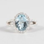 A SUPERB AQUAMARINE AND DIAMOND OVAL CLUSTER RING set in 18ct white gold.