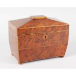 A REGENCY BURR YEW TWO DIVISION TEA CADDY on four bun feet. 7.5ins wide.