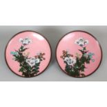 A PAIR OF 19TH CENTURY JAPANESE MEIJI PERIOD PINK GROUND CLOISONNE DISHES, each decorated with