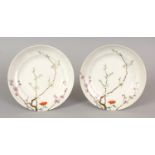 A PAIR OF GOOD QUALITY 19TH/20TH CENTURY CHINESE FAMILLE ROSE PORCELAIN DISHES, each painted with