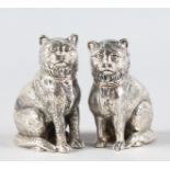 A PAIR OF SOLID SILVER NOVELTY PUG DOG SALT AND PEPPERS.