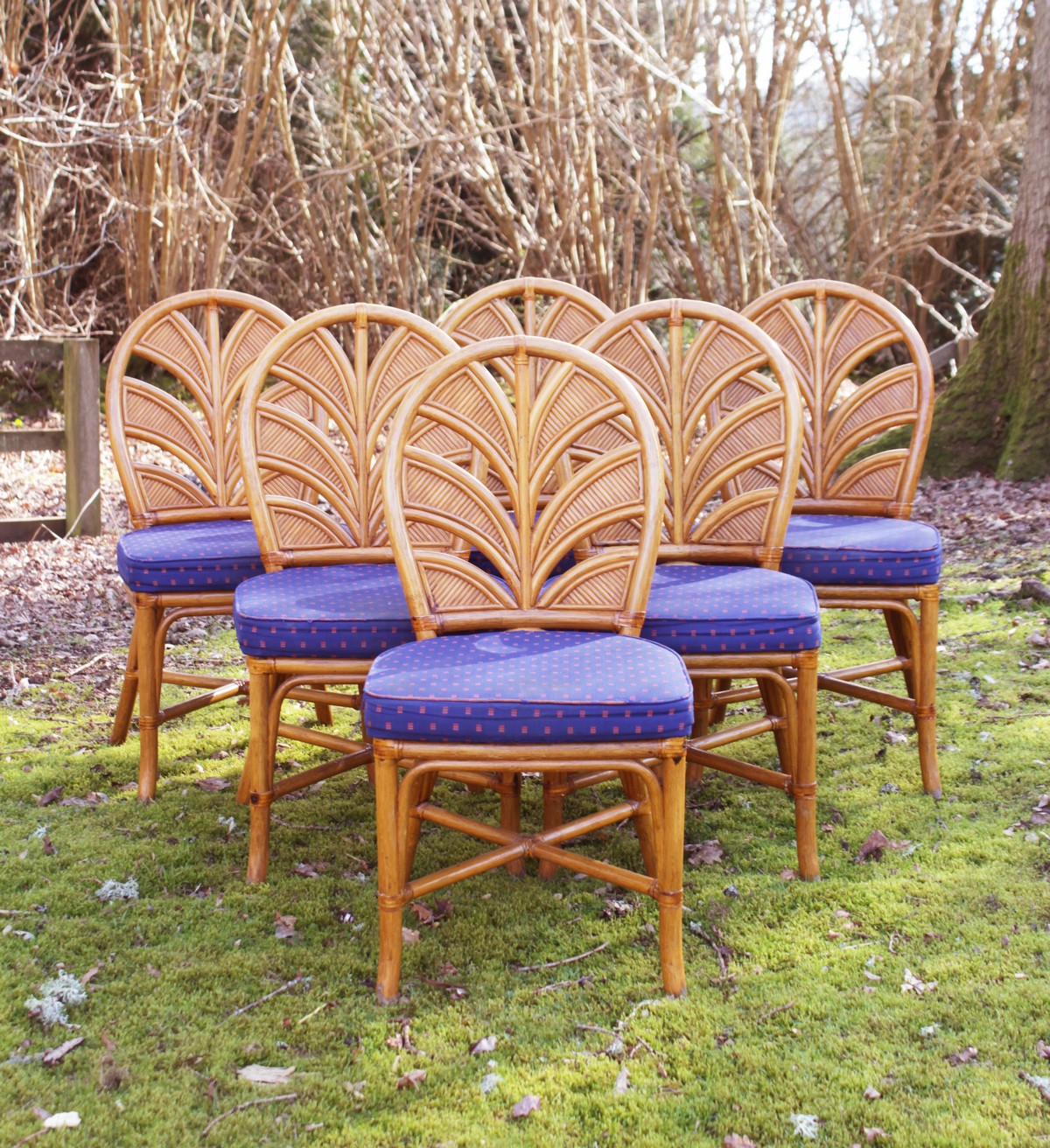 A SET OF SIX BAMBOO SPINDLE BACK CHAIRS (6).