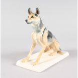 A FINE MEISSEN SITTING GERMAN SHEPHERD DOG, modelled by PAUL WALTHER, CIRCA. 1915. Cross swords mark