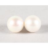 A SUBSTANTIAL PAIR OF CULTURED PEARL EARRINGS with 18ct yellow gold mounts.