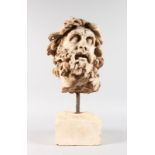 A GOOD CARVED MARBLE HEAD OF ULYSSES (ODYSSEUS), After a Roman copy, After HELLENISTIC SCULPTURE
