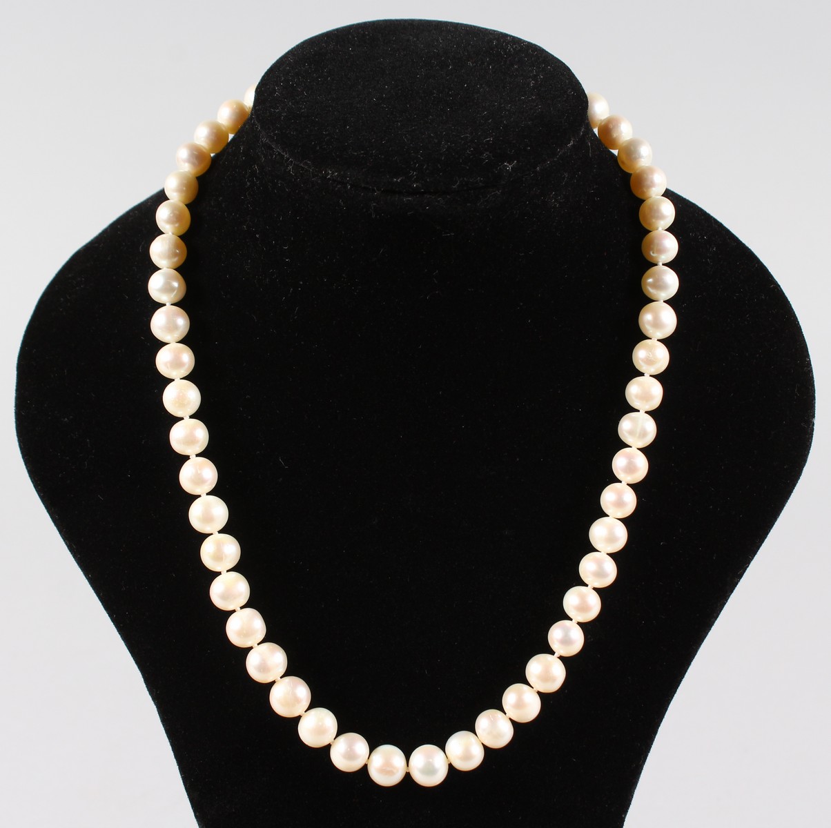 A STRING OF PEARLS with 14ct gold clasp.