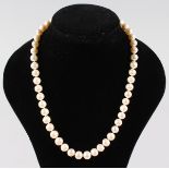 A STRING OF PEARLS with 14ct gold clasp.