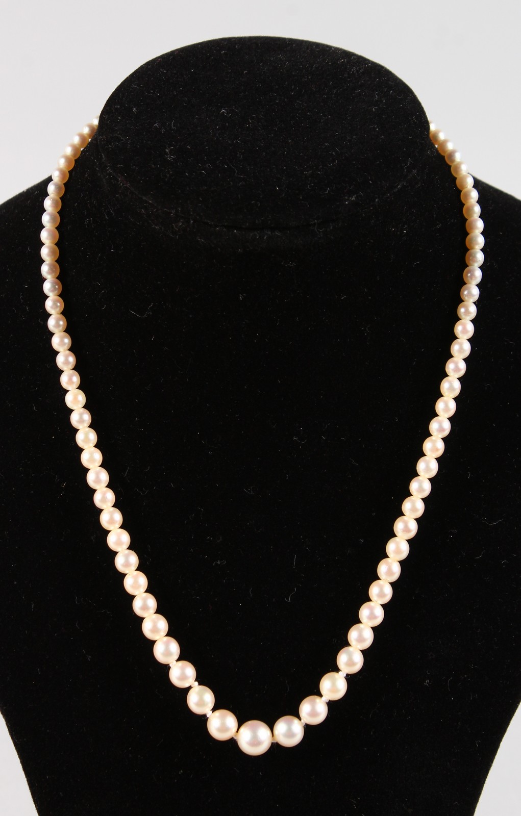 A STRING OF PEARLS with 9ct gold clasp.