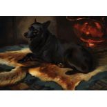 William Woodhouse (1857-1939) British. "Schipperke", Study of a Dog on a Rug, Oil on Canvas, Signed,