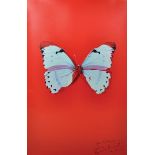 Damien Hirst (1965- ) British. "Untitled (Red Butterfly)", Print, Signed and Inscribed "for Laura,