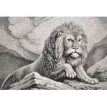After Samuel Howitt (c.1765-1822) British. Study of a Lion, Engraving, Unframed, 4.25" x 6.25",
