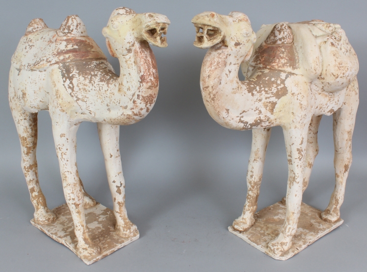 A LARGE PAIR OF BACTRIAN POTTERY CAMELS, possibly Tang Dynasty, each standing four square with