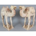 A LARGE PAIR OF BACTRIAN POTTERY CAMELS, possibly Tang Dynasty, each standing four square with