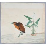 A GOOD QUALITY 19TH CENTURY CHINESE PAINTING ON PAPER OF A BIRD, the painting mounted on a paper