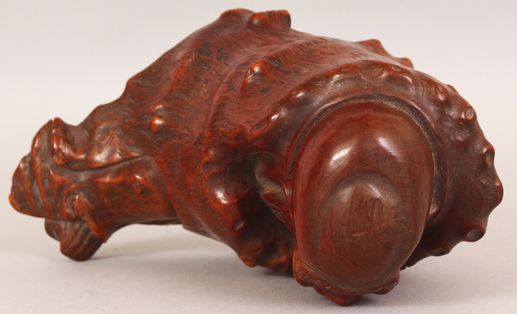 A GOOD QUALITY 19TH CARVED ROOTWOOD FIGURE OF A RECLINING SAGE, wrapped in a well grained cloak, 6. - Image 6 of 7