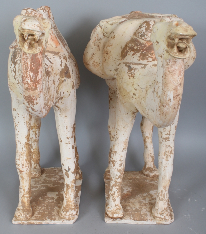 A LARGE PAIR OF BACTRIAN POTTERY CAMELS, possibly Tang Dynasty, each standing four square with - Image 5 of 9