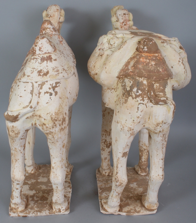 A LARGE PAIR OF BACTRIAN POTTERY CAMELS, possibly Tang Dynasty, each standing four square with - Image 3 of 9