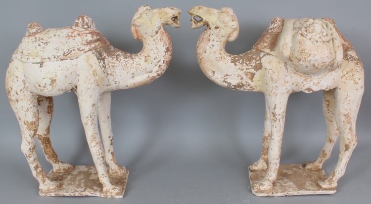 A LARGE PAIR OF BACTRIAN POTTERY CAMELS, possibly Tang Dynasty, each standing four square with - Image 2 of 9