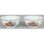 A PAIR OF CHINESE DOUCAI PORCELAIN BOWLS, each decorated with peach, finger citron and