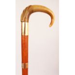 A RHINOCEROS HORN HANDLED WOOD WALKING STICK, with good quality gold-metal mounts inscribed and