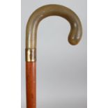 A RHINOCEROS HORN HANDLED WOOD WALKING STICK, with a gilt metal collar impressed '18ctGP', the rhino